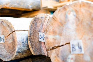 finnland-sauna-bau-duelmen-ablauf-1